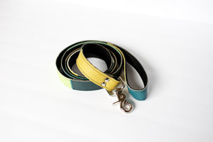 Mutt on the Move Dog Leash