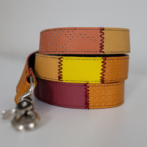 Mutt on the Move Dog Leash